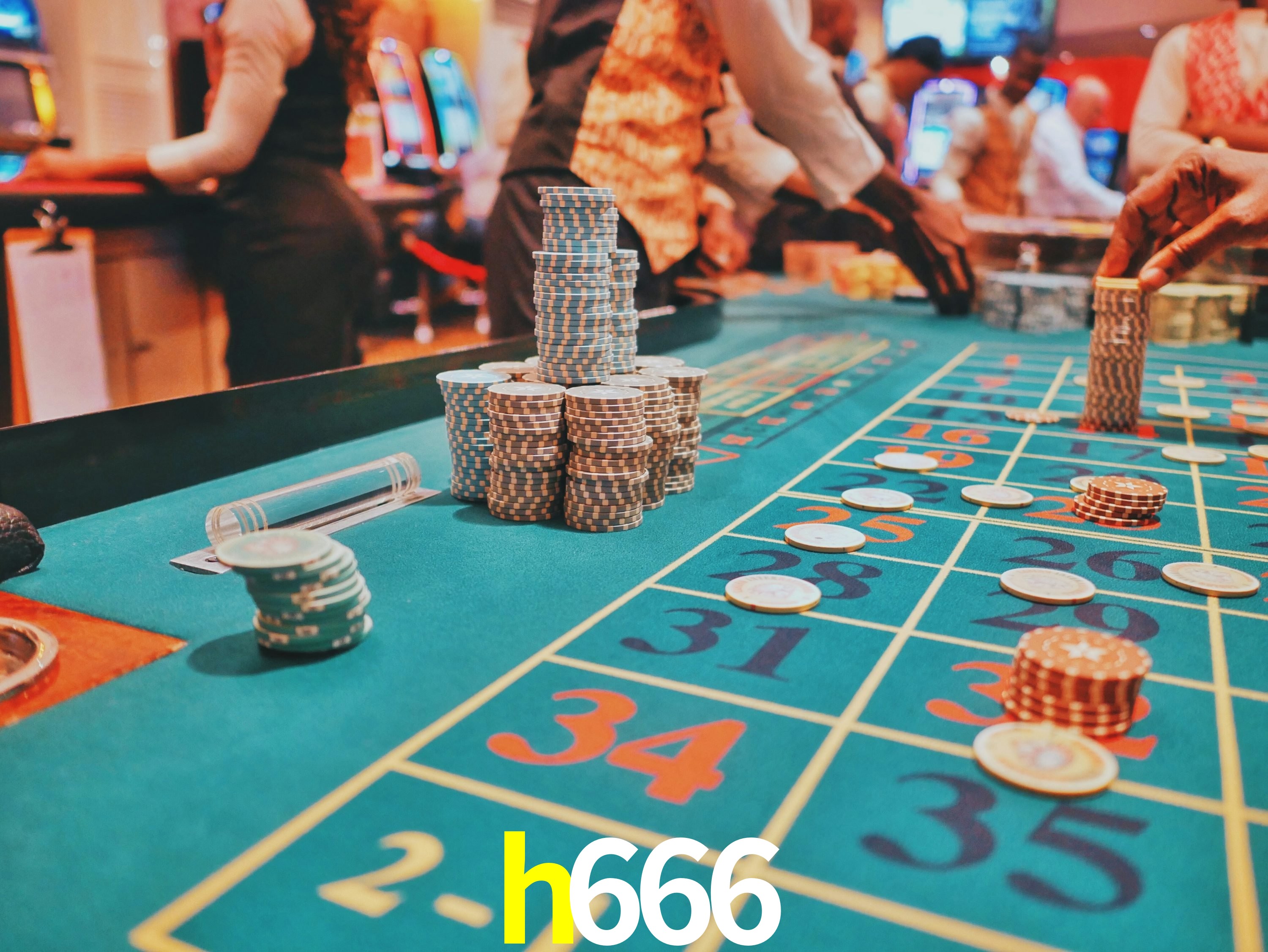 Sports Statistics h666